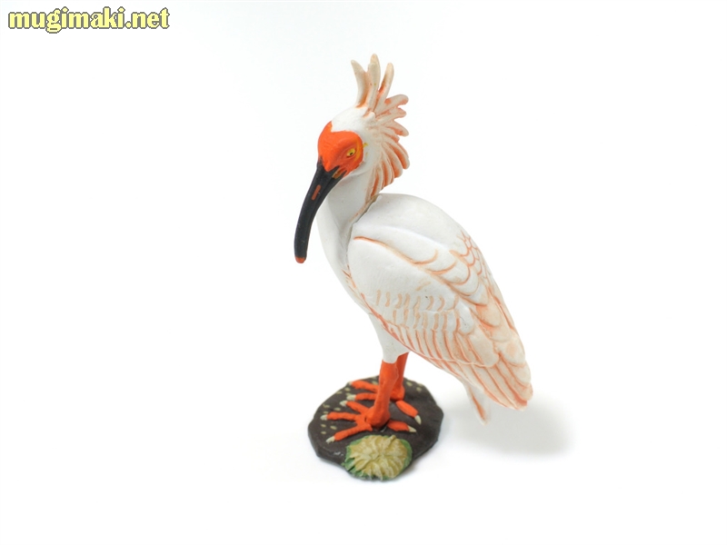 週刊 日本の天然記念物 動物編 立体動物模型 | Mr.Ks Wild Bird Blog